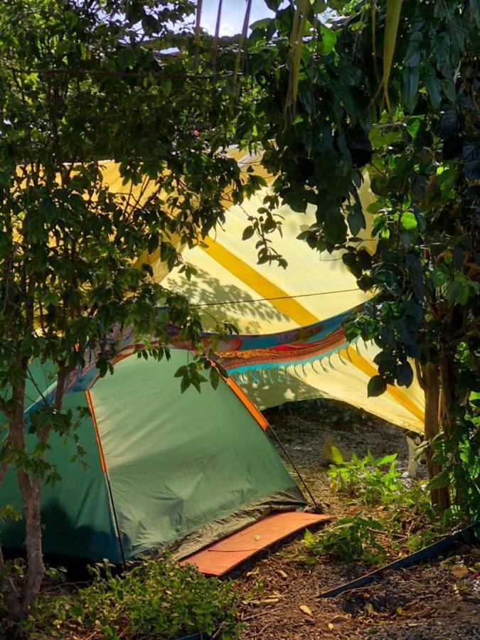 Planet Barra Hostel Florianopolis